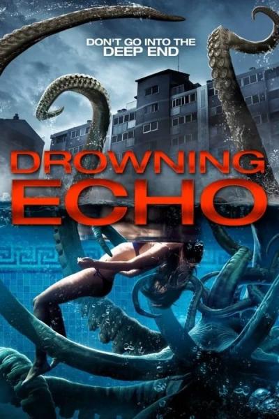Cover of Drowning Echo