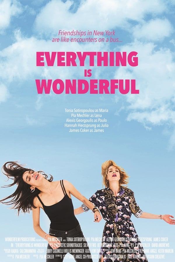 Cover of the movie Everything is Wonderful
