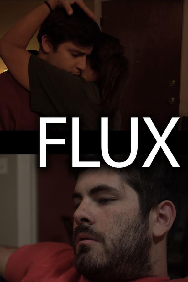 Cover of the movie Flux