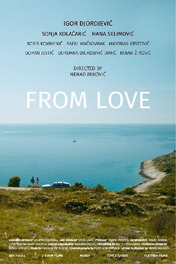 Cover of the movie From Love