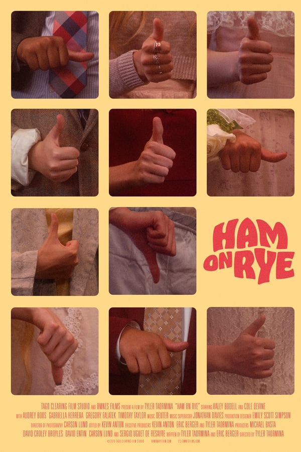 Cover of the movie Ham on Rye