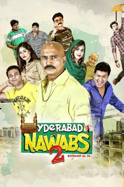 Cover of Hyderabad Nawabs 2