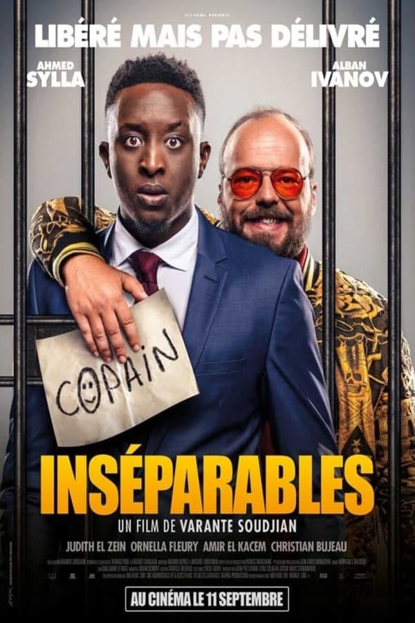 Cover of the movie Inséparables