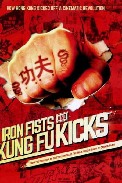 Cover of Iron Fists and Kung Fu Kicks