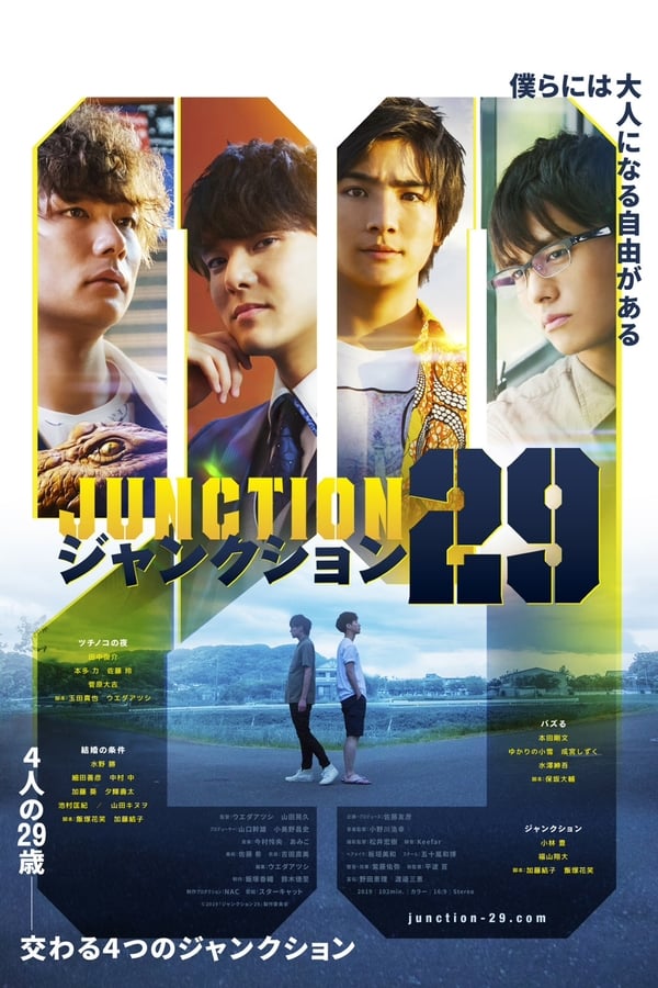 Cover of the movie Junction 29