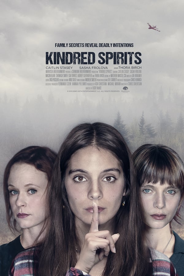 Cover of the movie Kindred Spirits