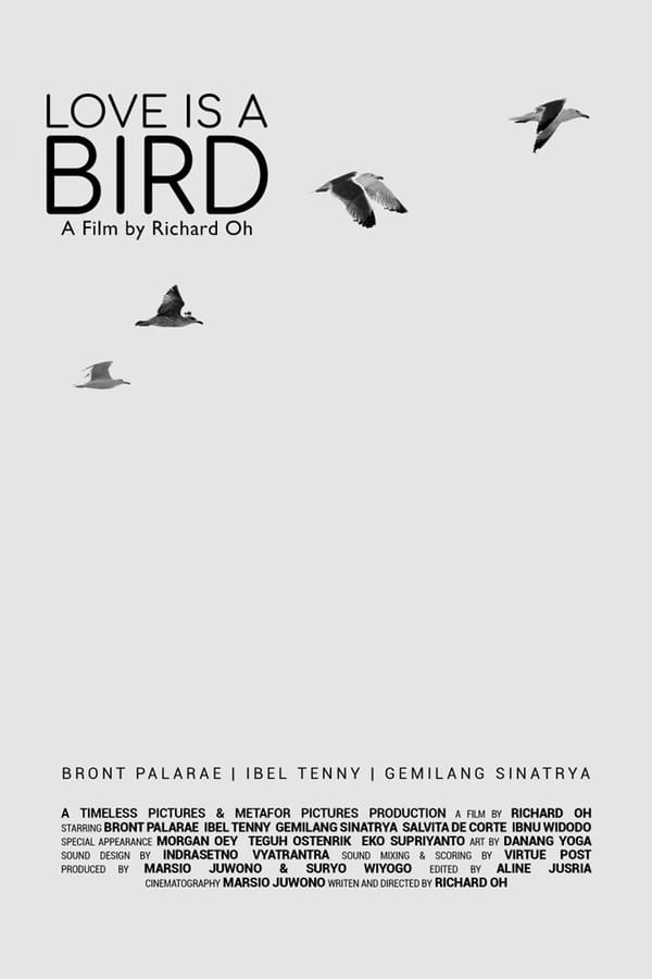 Cover of the movie Love is A Bird