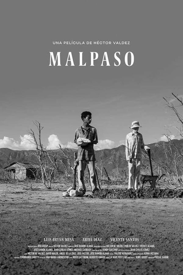 Cover of the movie Malpaso