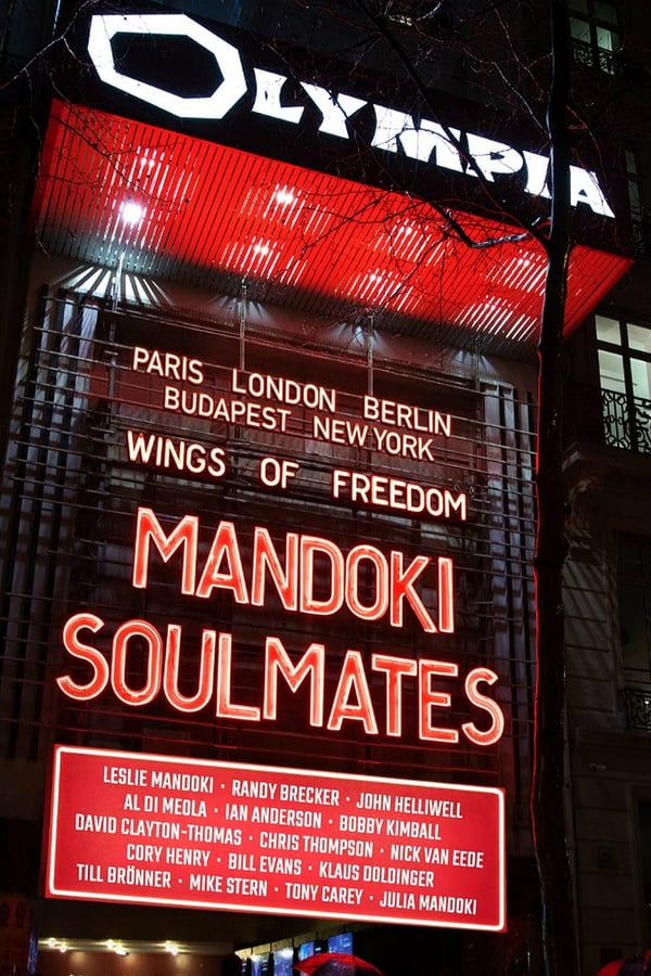 Cover of the movie ManDoki Soulmates: Wings Of Freedom
