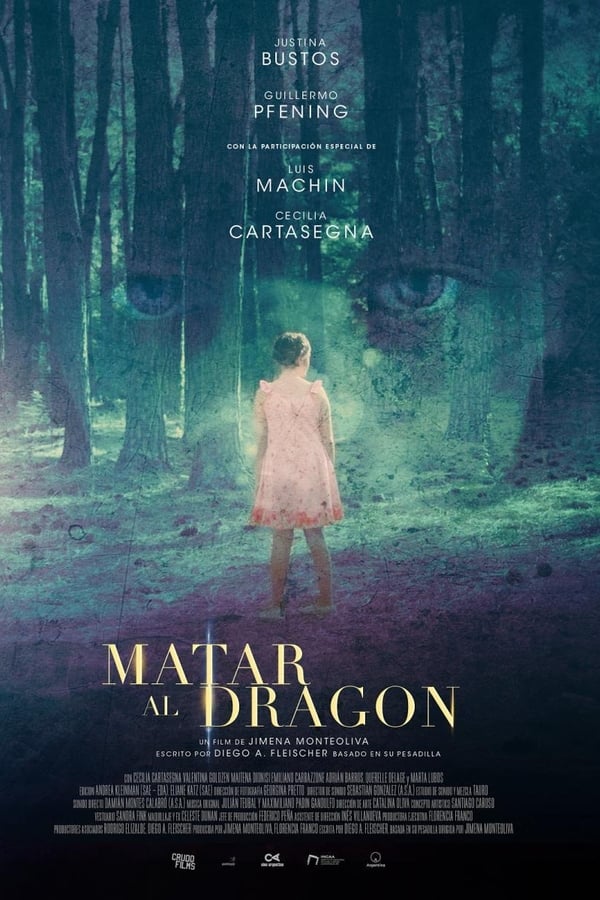 Cover of the movie Matar al dragón