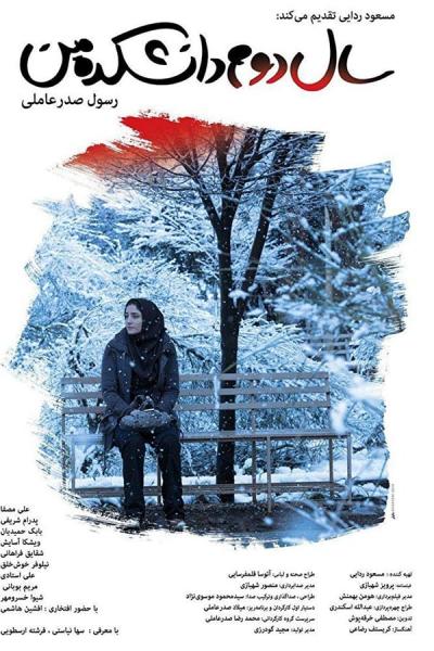 Cover of the movie My Second Year in College