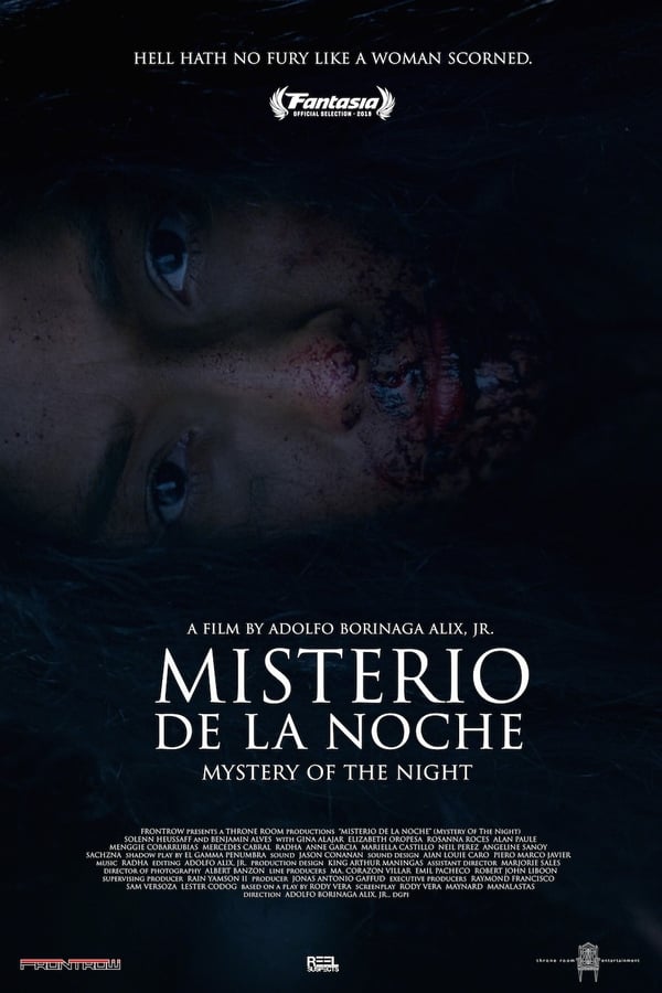 Cover of the movie Mystery of the Night