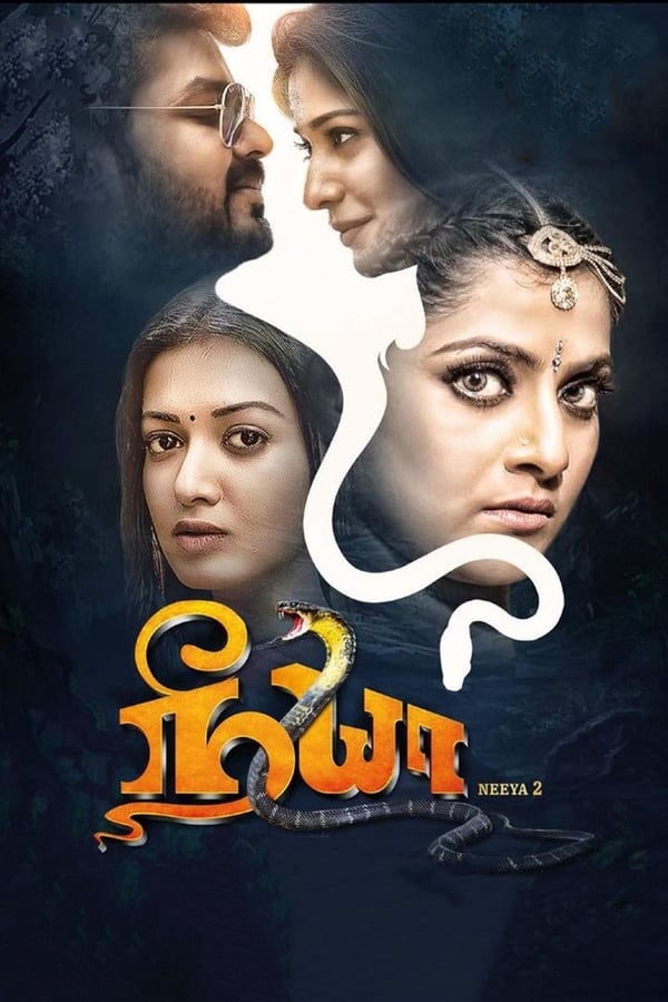 Cover of the movie Neeya 2