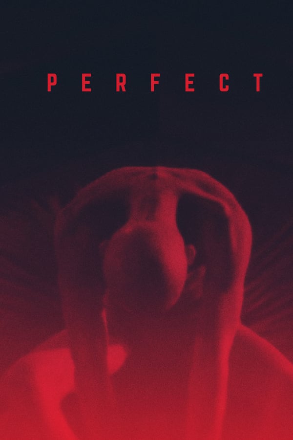 Cover of the movie Perfect