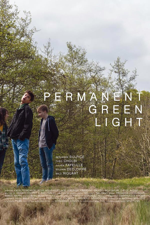 Cover of the movie Permanent Green Light