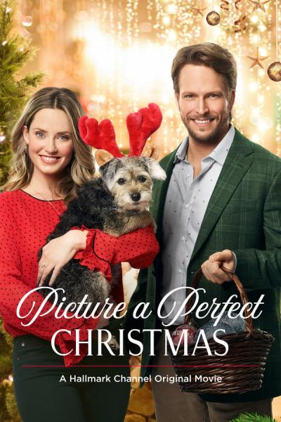 Cover of the movie Picture a Perfect Christmas