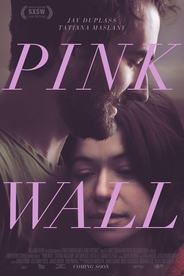Cover of the movie Pink Wall