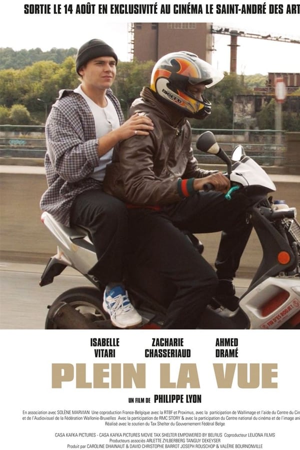 Cover of the movie Plein la vue