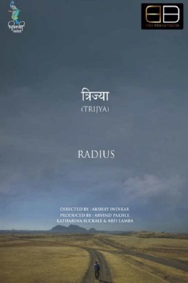 Cover of the movie Radius