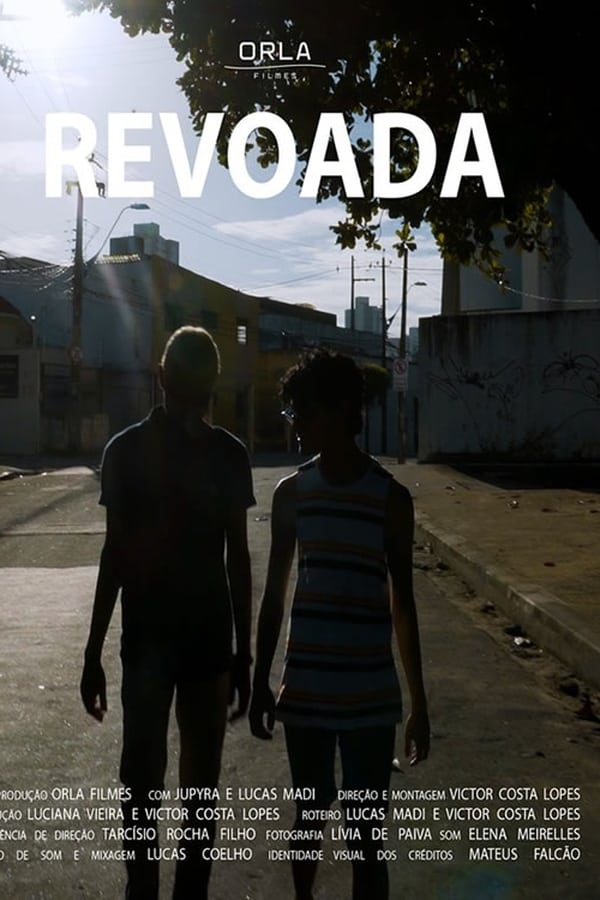 Cover of the movie Revoada