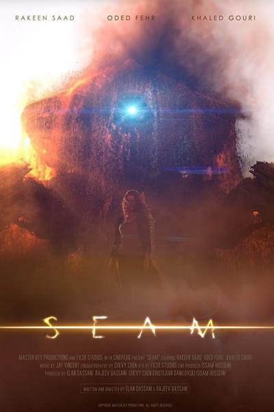 Cover of Seam