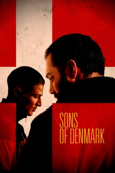 Cover of Sons of Denmark