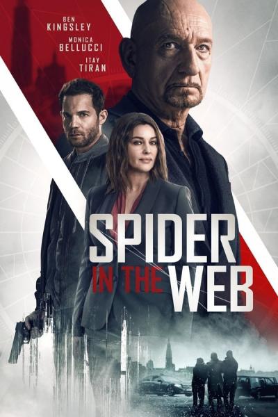 Cover of Spider in the Web