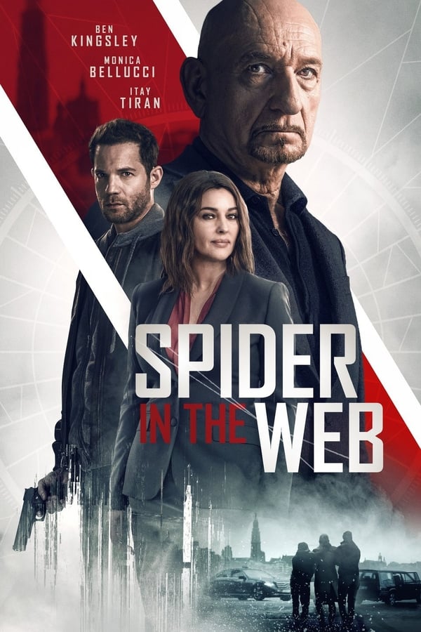 Cover of the movie Spider in the Web