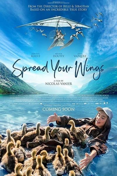 Cover of Spread Your Wings