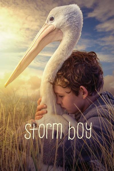 Cover of Storm Boy