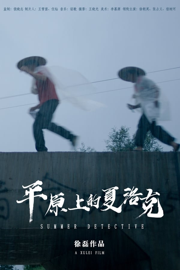 Cover of the movie Summer Detective