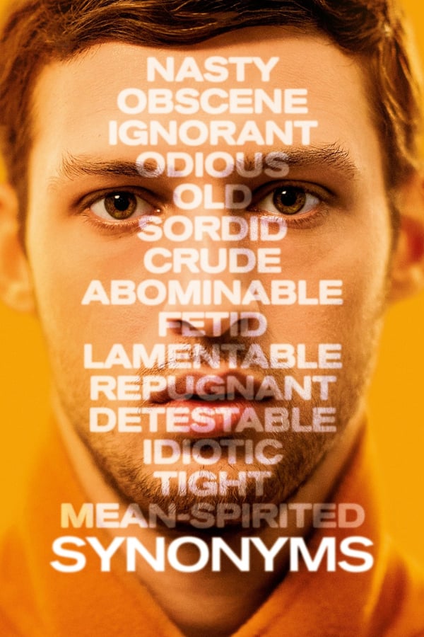 Cover of the movie Synonyms