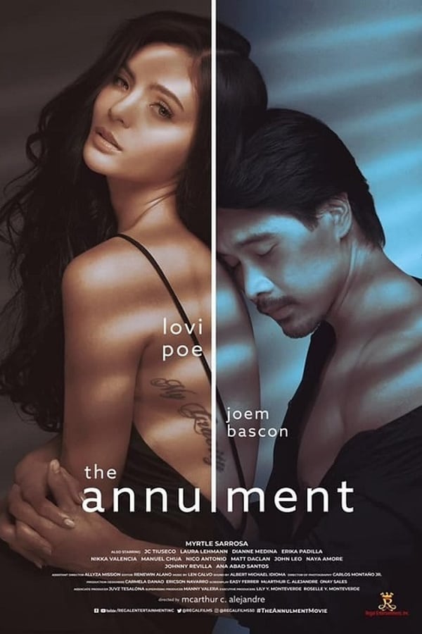 Cover of the movie The Annulment