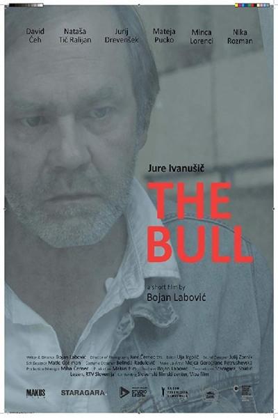 Cover of the movie The Bull