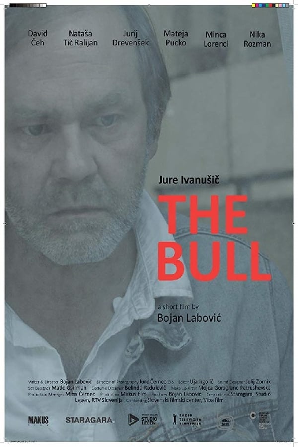 Cover of the movie The Bull