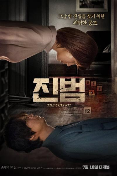 Cover of The Culprit
