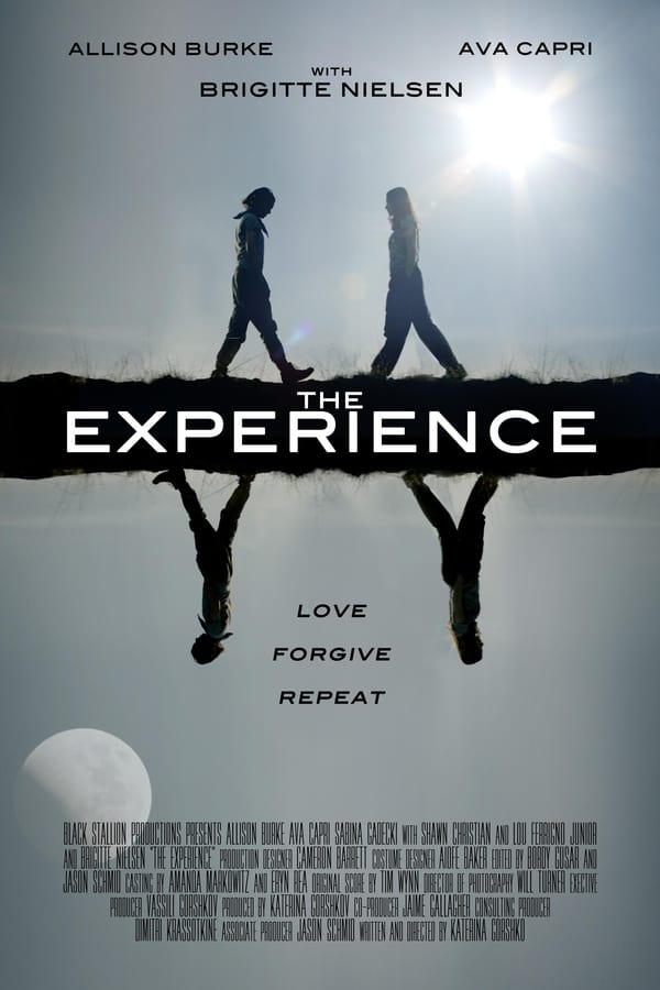 Cover of the movie The Experience