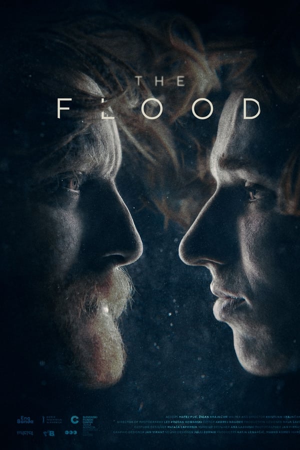 Cover of the movie The Flood