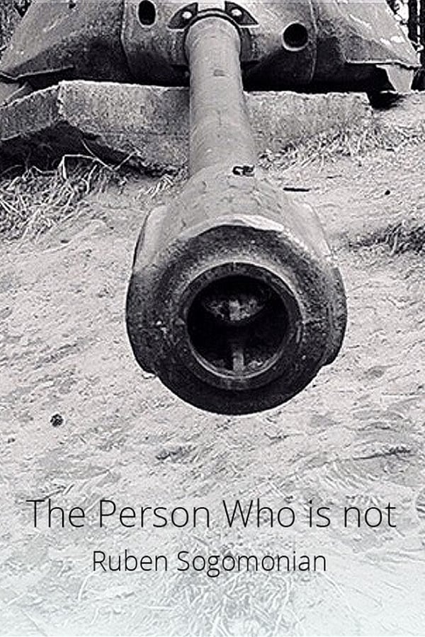 Cover of the movie The Person Who Is Not