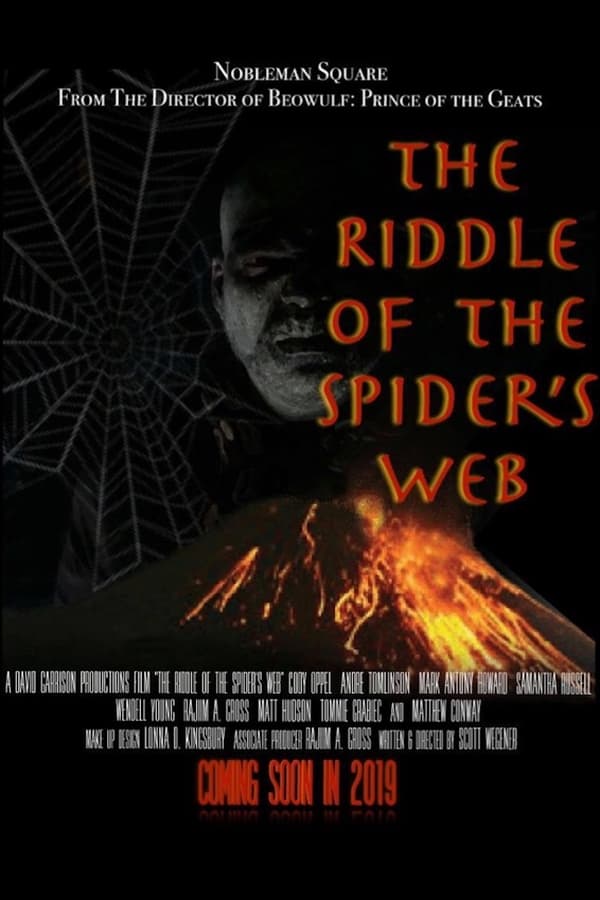 Cover of the movie The Riddle Of The Spider's Web