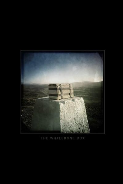 Cover of The Whalebone Box