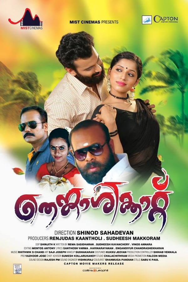Cover of the movie Thenkasikkatu