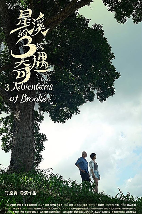 Cover of the movie Three Adventures of Brooke