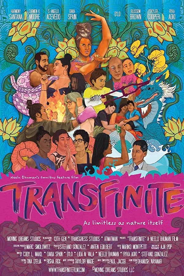 Cover of the movie Transfinite
