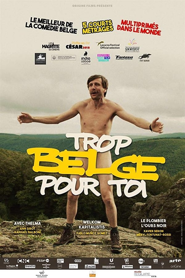 Cover of the movie Trop belge pour toi