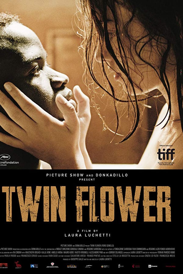 Cover of the movie Twin Flower