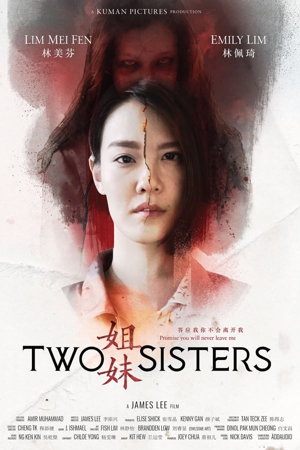 Cover of the movie Two Sisters
