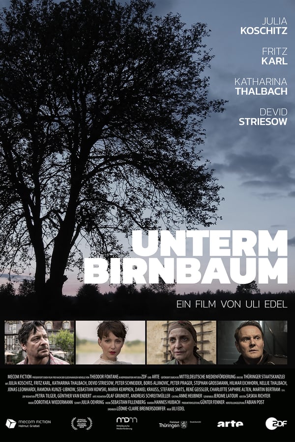 Cover of the movie Unterm Birnbaum