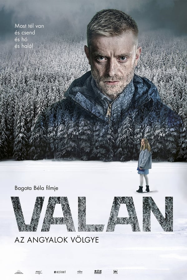 Cover of the movie Valan
