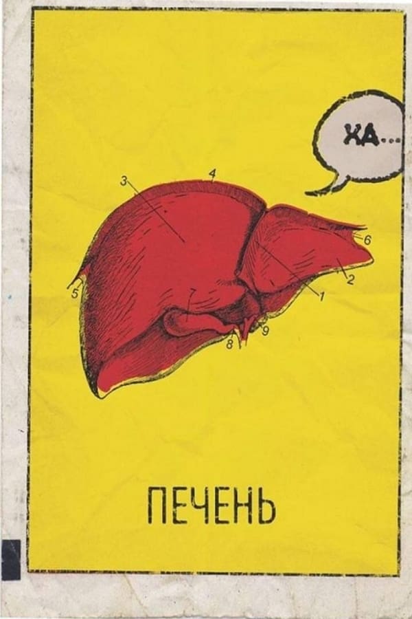 Cover of the movie Печень